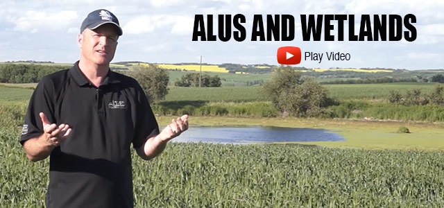 Wetlands and ALUS